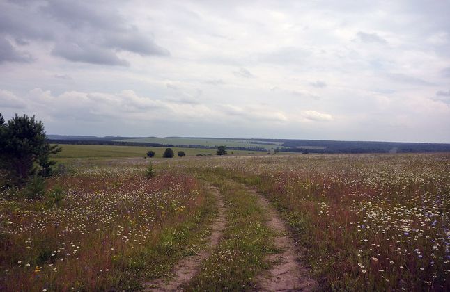Александр Перевозчиков: стараемся больше общаться с молодежью, чтобы знать проблемы нового поколения
